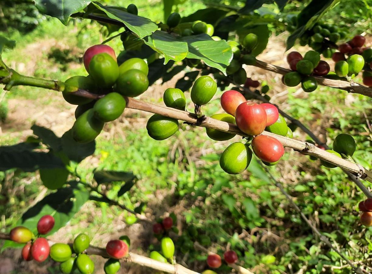 하푸탈레 Glenmyu Estate 아파트 외부 사진